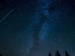 Perseid Meteor Shower 2023: An Overview of What, When, and Where to Witness This Spectacle. Read More.
